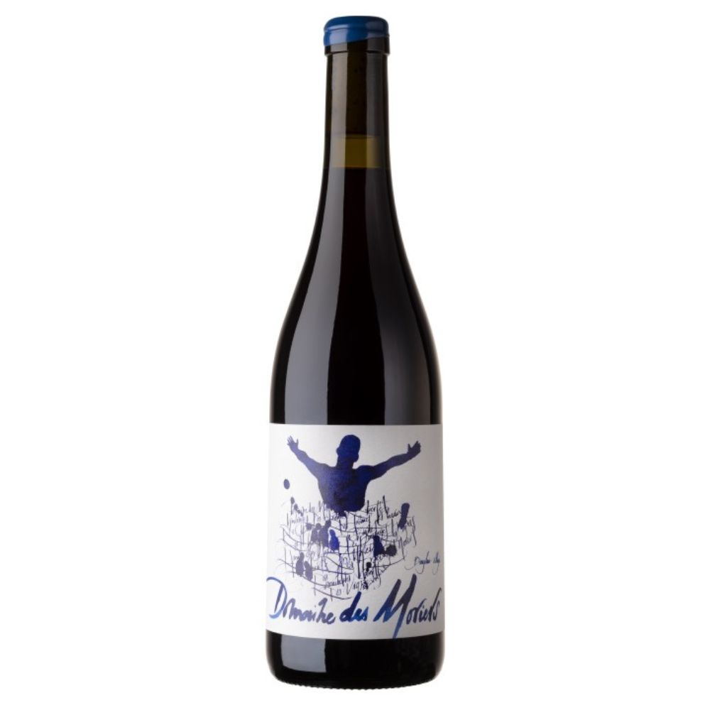 Domaine des Moriers Beaujolais Villages 2022 750mL